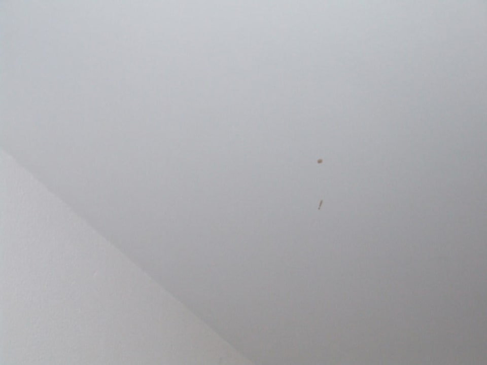 Flecken an den Decken HL Miraflor Suites Hotel