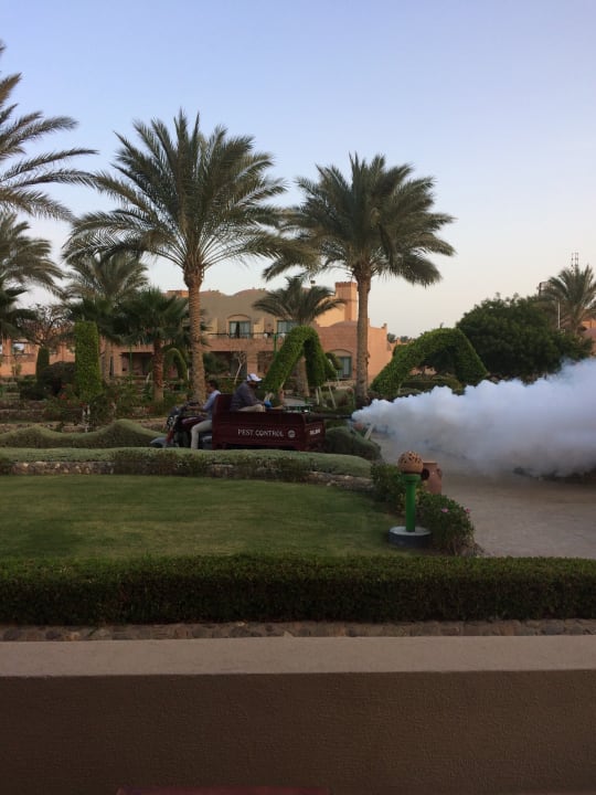 Gartenanlage Sentido Akassia Beach