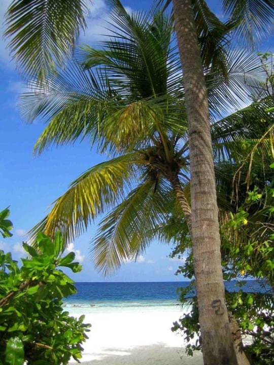 Der Strand von Angaga Angaga Island Resort