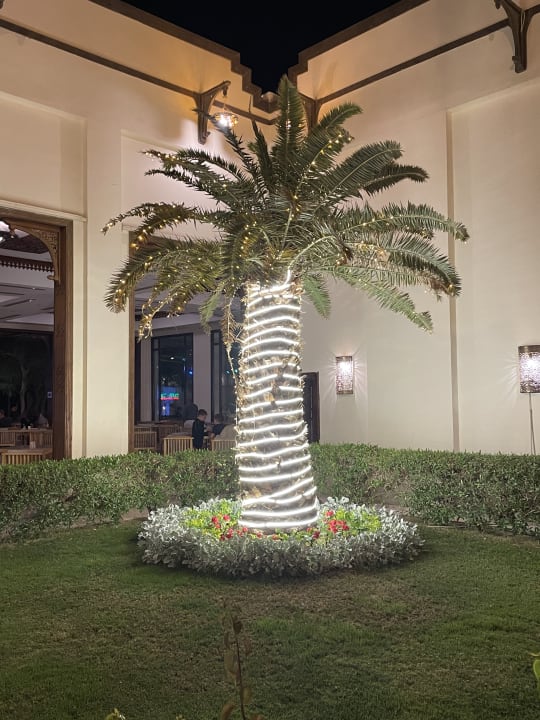 Gartenanlage Stella Beach Resort & Spa Makadi Bay