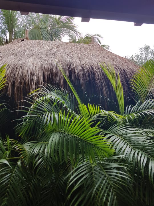 Gartenanlage Akumal Bay Beach & Wellness Resort