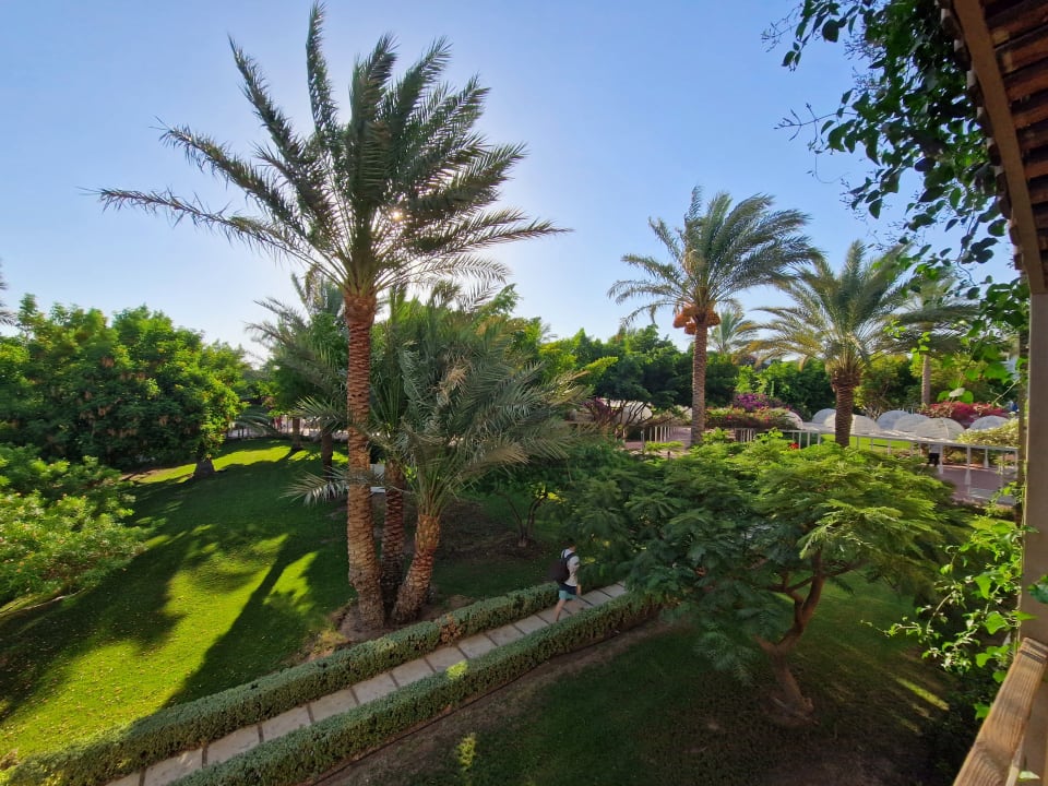 Gartenanlage Desert Rose