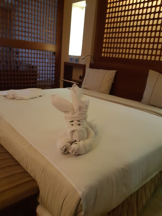 Zimmer Grand Waterworld Makadi & Family Star Makadi