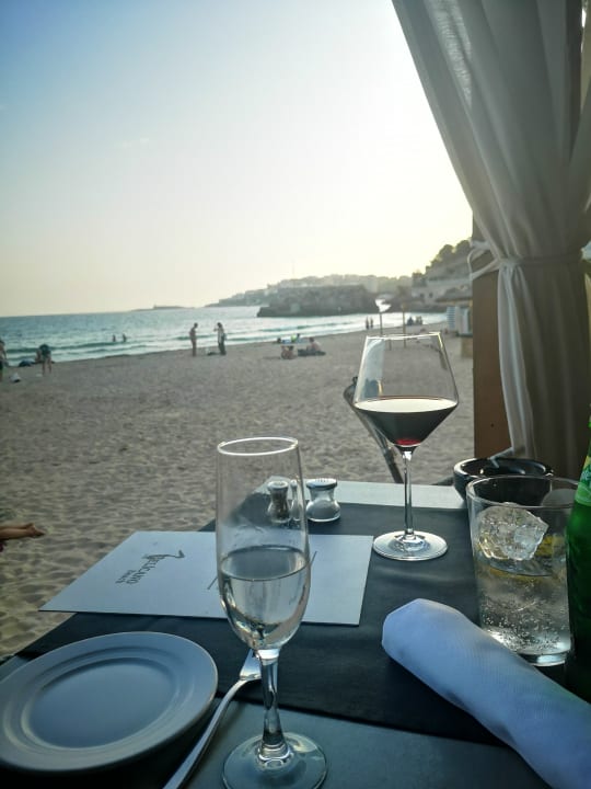 Gastro Be Live Marivent - Adults only