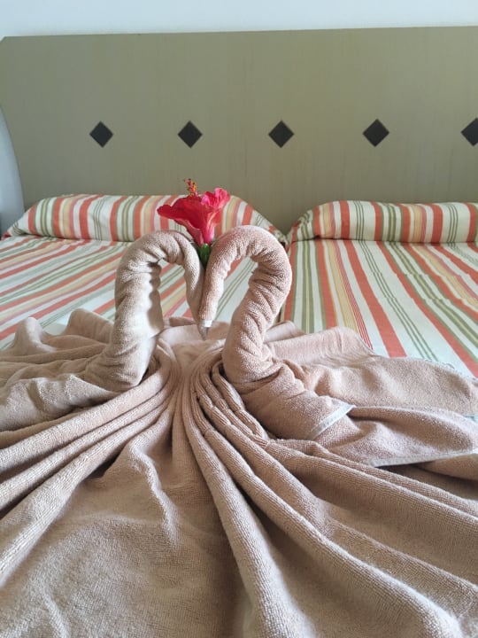 Zimmer SBH Hotel Taro Beach