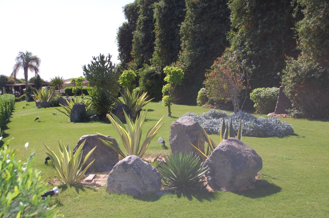 Территория Prima Life Makadi Resort