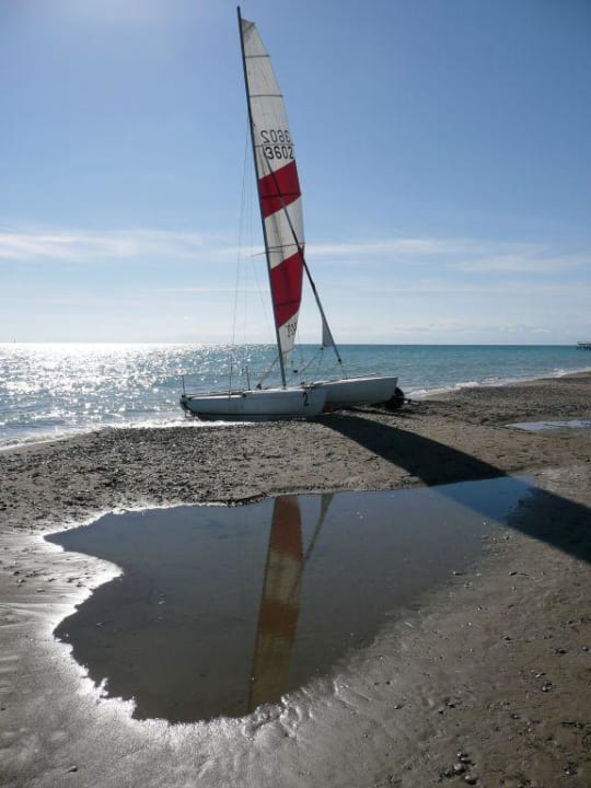 Der Cat ruft! Asteria Family Belek