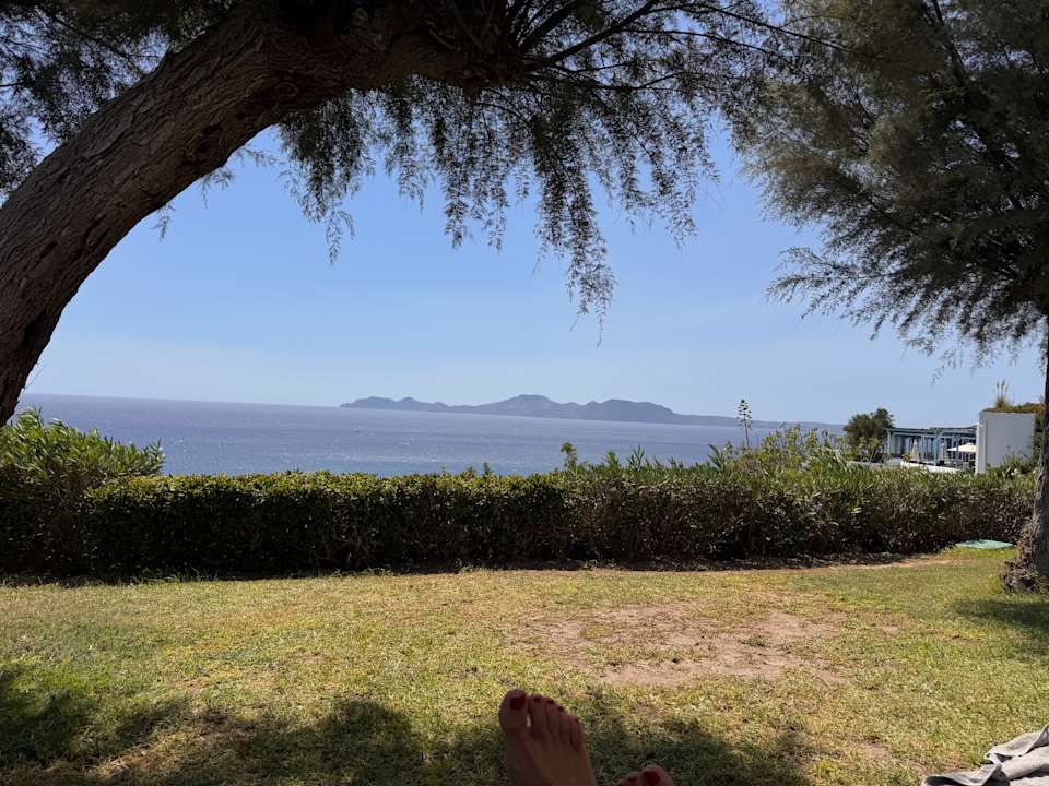 Ausblick ROBINSON DAIDALOS