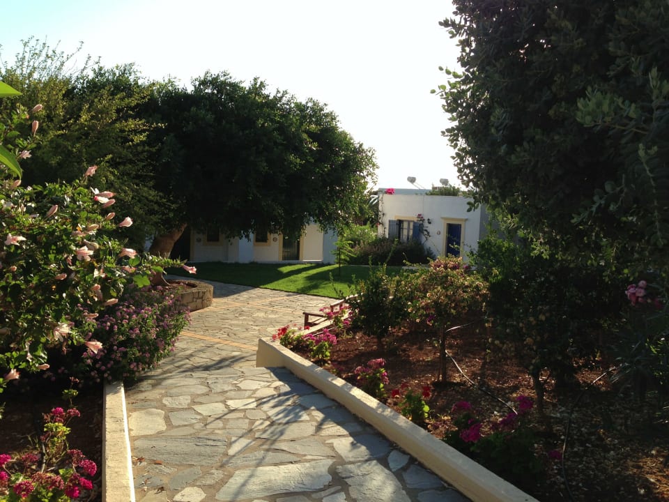 Innenanlage zwischen den Bungalows TUI SUNEO Chrissi Amoudia