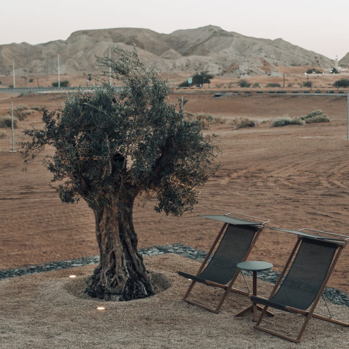 Ausblick Al Faya Retreat