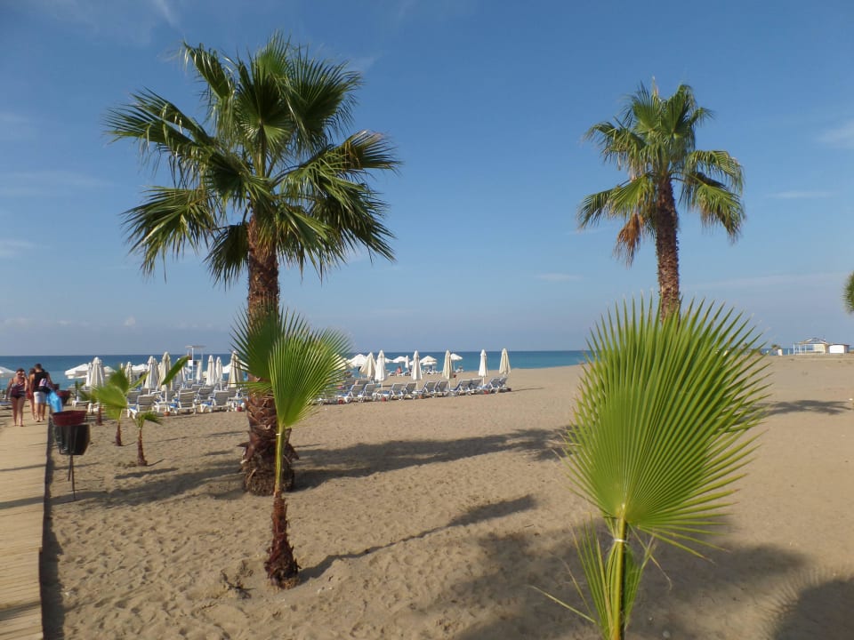 Breiter Sandstrand Sultan of Dreams Hotel & Spa