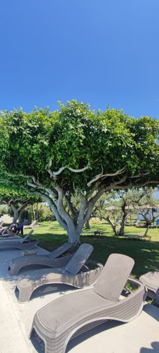 Außenansicht Ilios K Village Resort