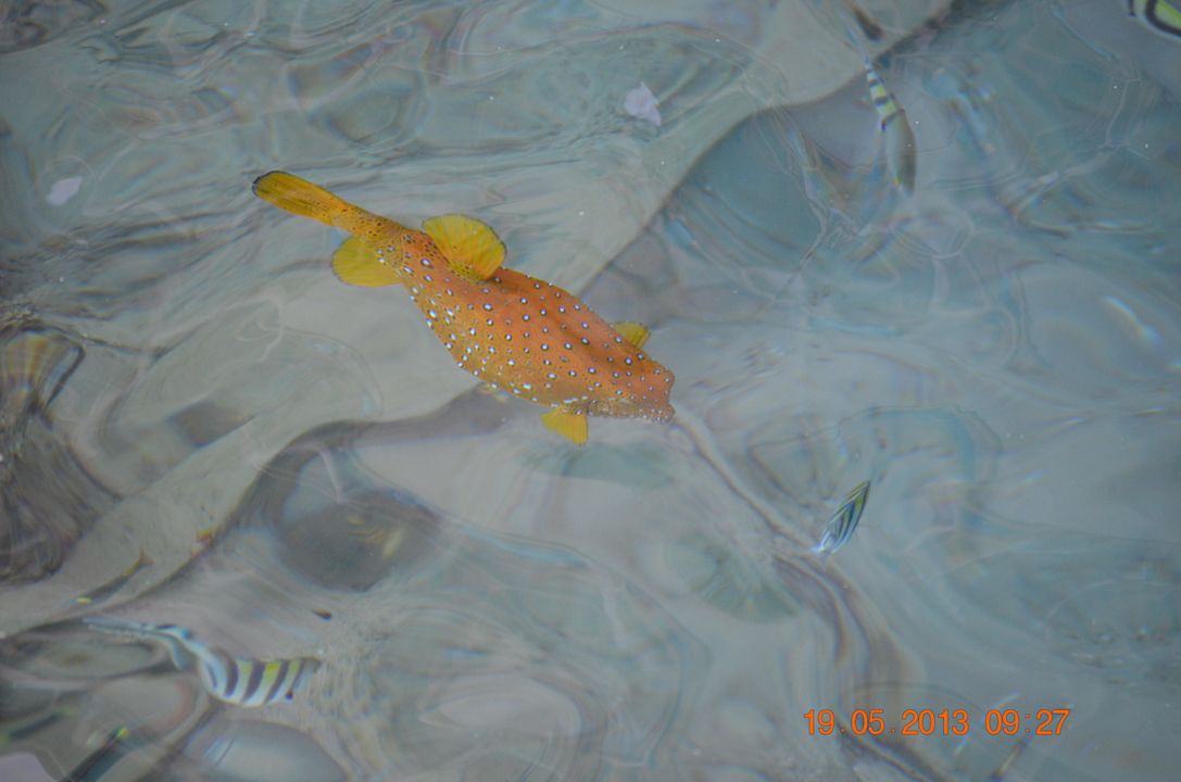 Hausriff  Titanic Beach Spa & Aqua Park