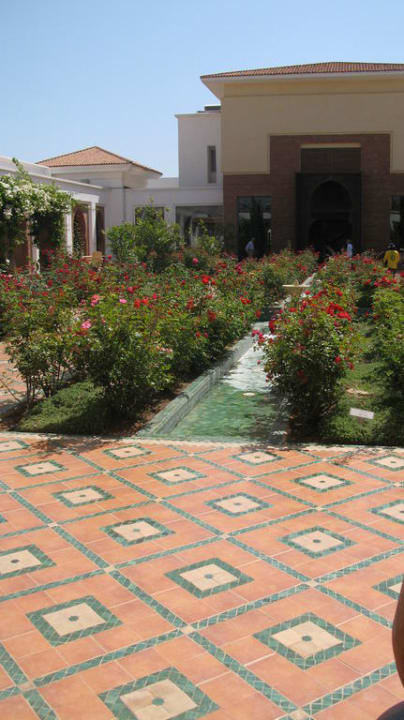 Rosengarten ROBINSON AGADIR