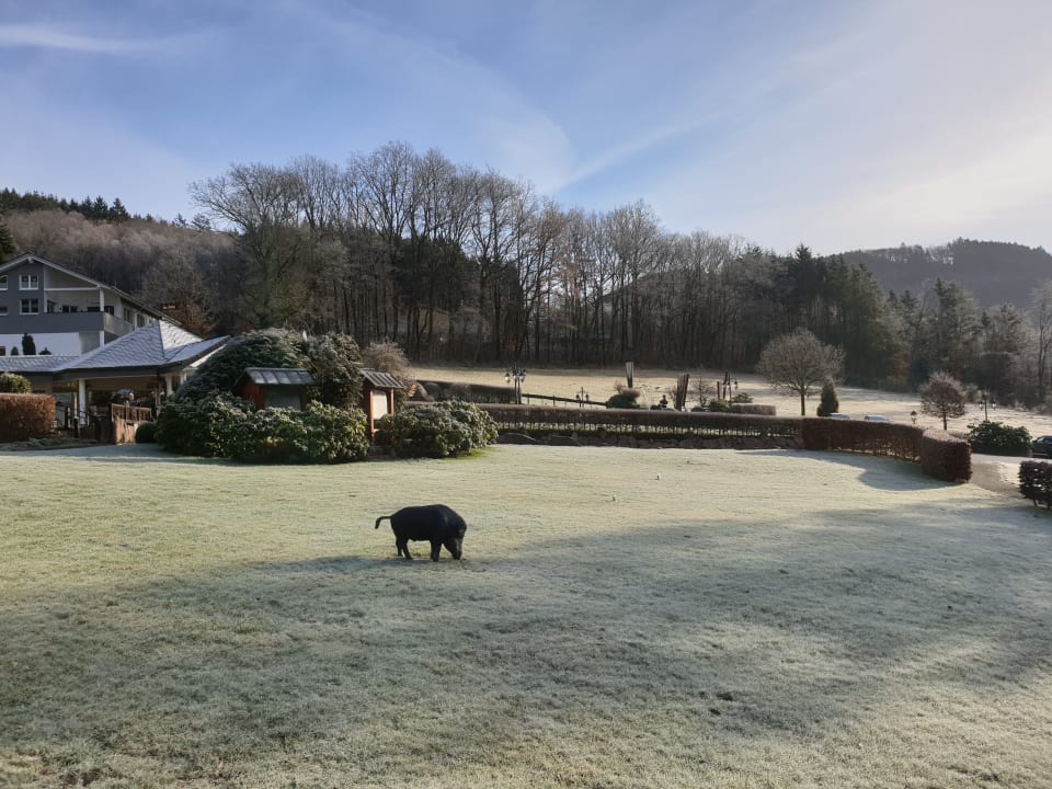 Gartenanlage Hotel Haus Hilmeke