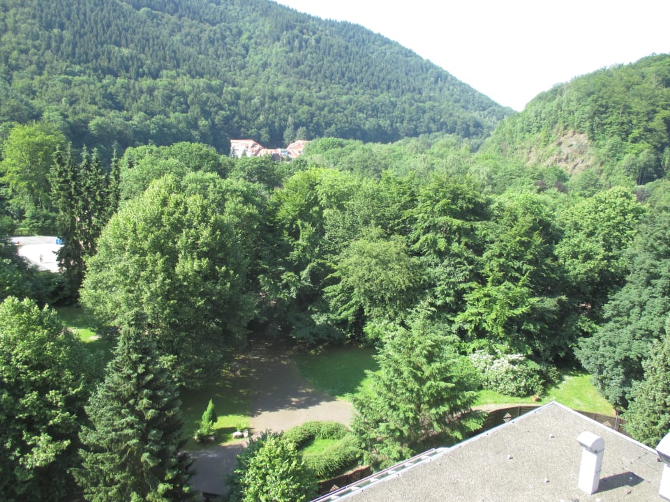 Blick vom Balkon Panoramic - Ihr Apartmenthotel im Harz