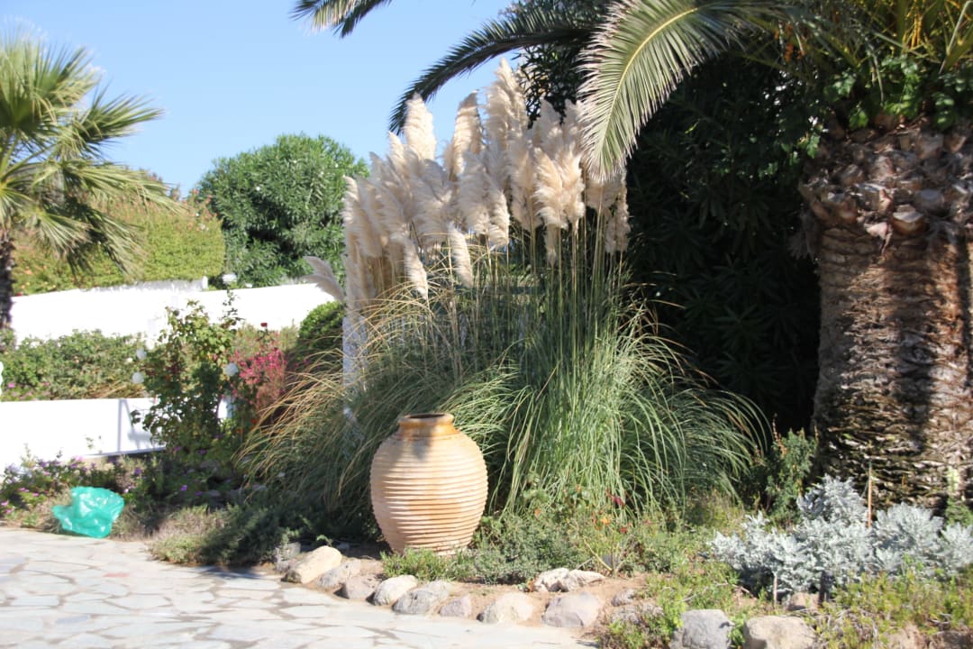 Hotelanlage Mastichari Bay Hotel
