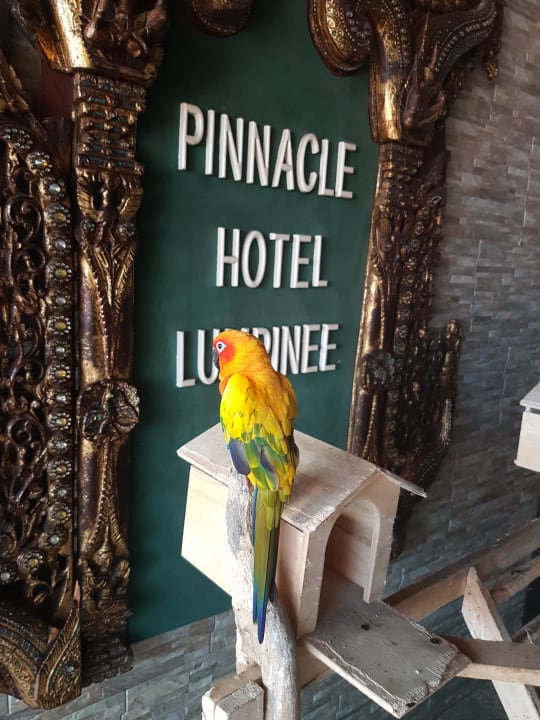 Sonstiges Pinnacle Lumpinee Park Hotel