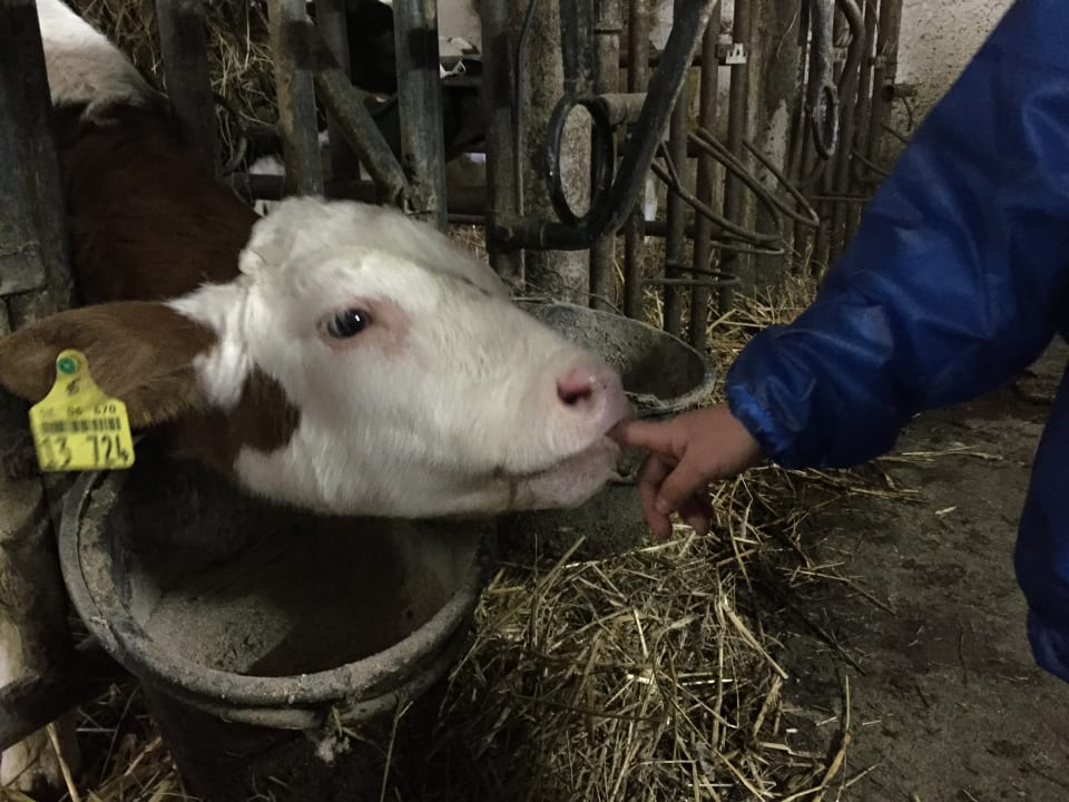 Gartenanlage Ferienhof Dingeldey