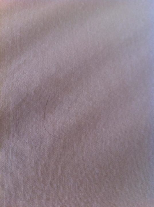 Noch ein Haar  Hotel Don Manolito