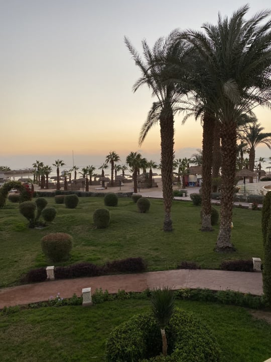 Ausblick Lotus Bay Beach Resort