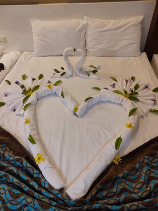 Zimmer Seaden Sea World Resort & Spa