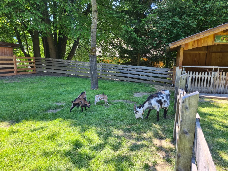 Außenansicht Hotel Ferienparadies Lerch