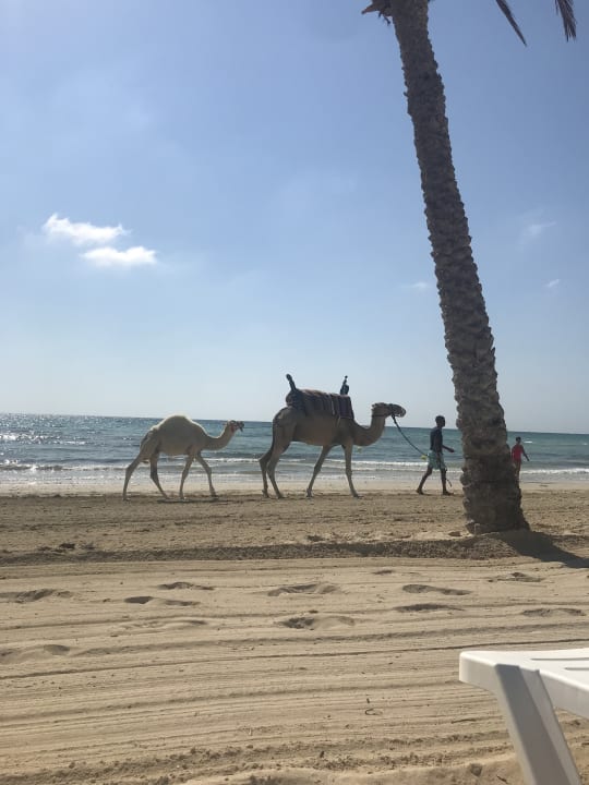 Strand ROBINSON DJERBA BAHIYA