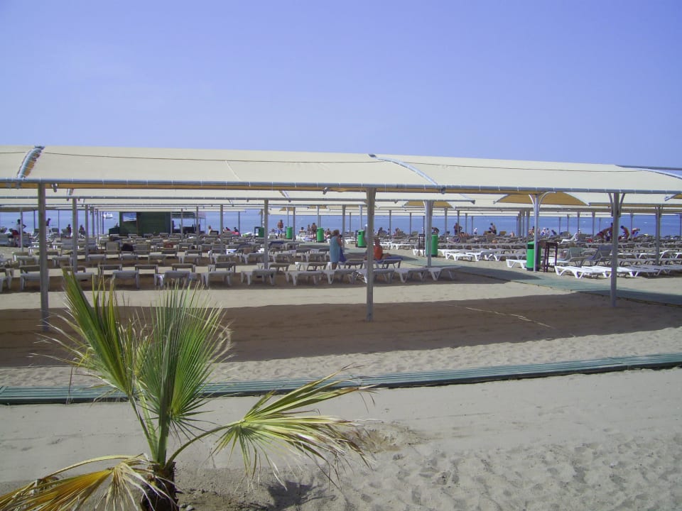 Erweiterter Strand Hane Family Resort