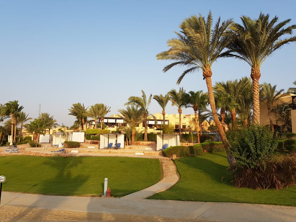 Gartenanlage Steigenberger Coraya Beach - Adults only