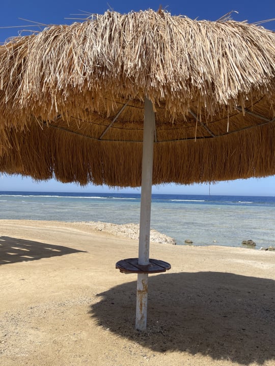 Strand Malikia Resort Abu Dabbab