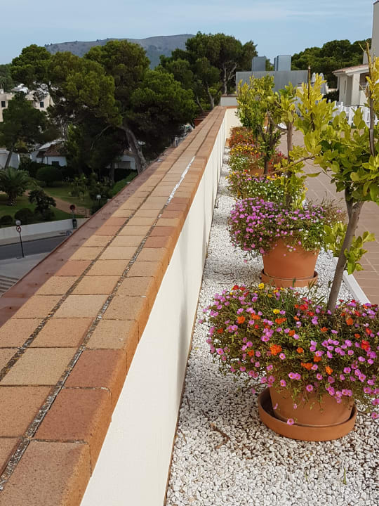 Außenansicht Hotel Clumba