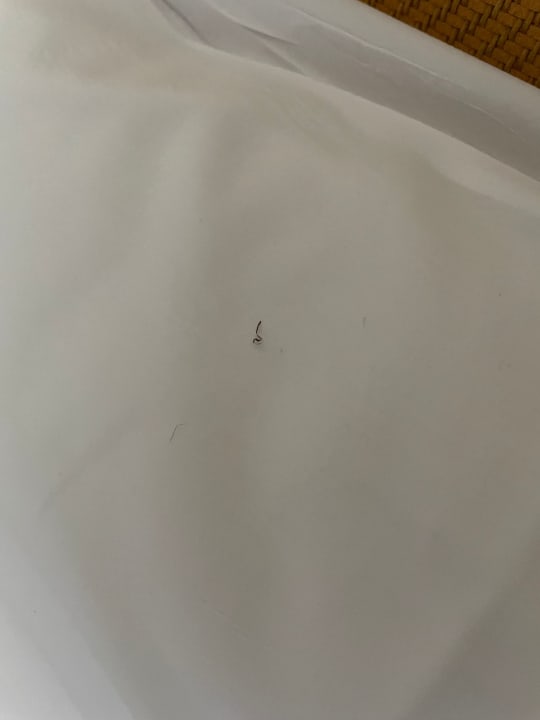 Zimmer PortoBay Falésia