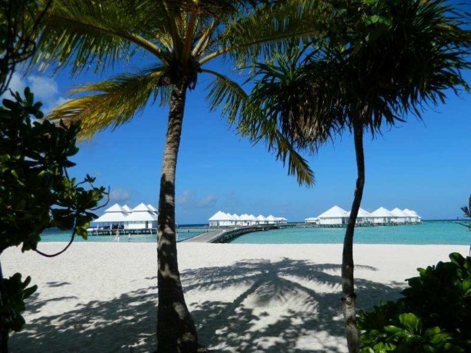 Wie aus dem Katalog ananea Diamonds Athuruga