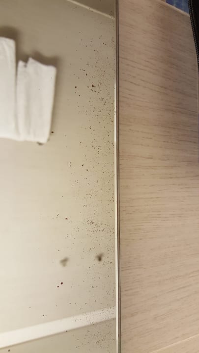 Zimmer blau punta reina