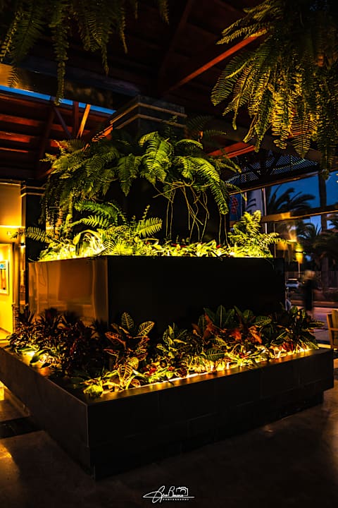 Lobby allsun Hotel Esplendido