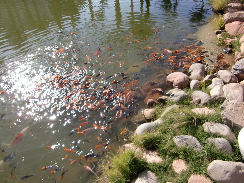 Eine Oase der Ruhe und Sinnlichkeit Makadi Palace