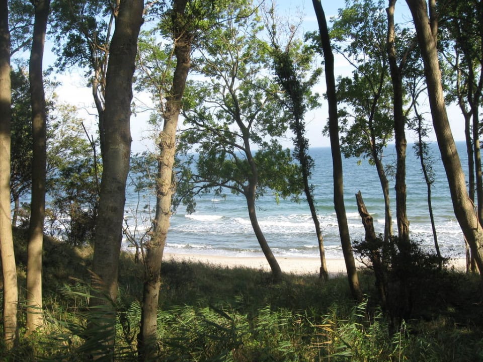 Weg zum Strand Ferienbauernhof Liesenberg mit Meerblick