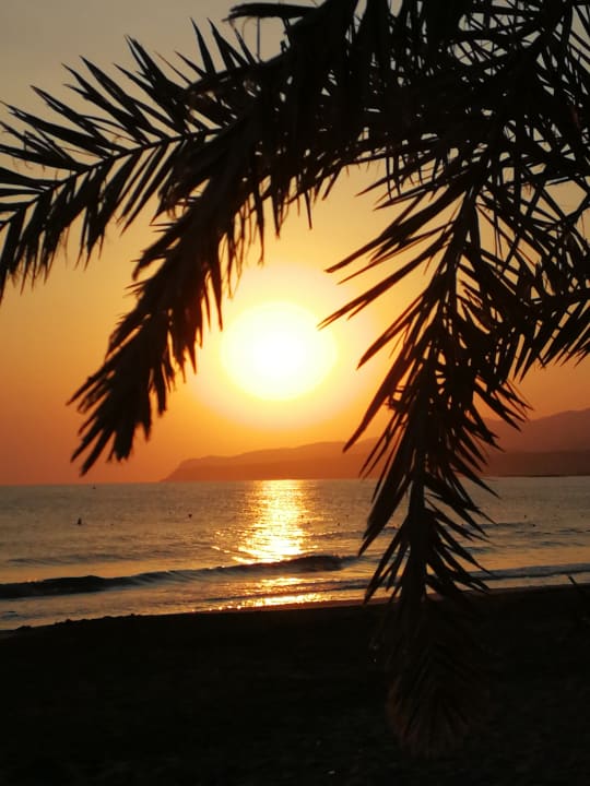 Strand Zeus Hotels Palm Beach