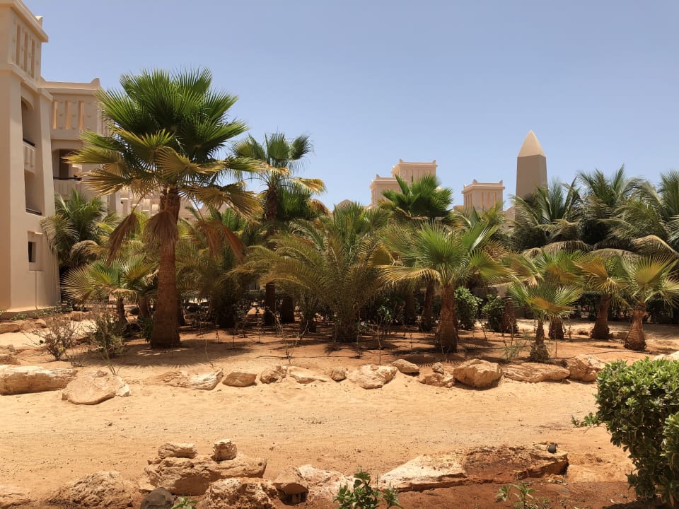 Ausblick Hotel Riu Touareg