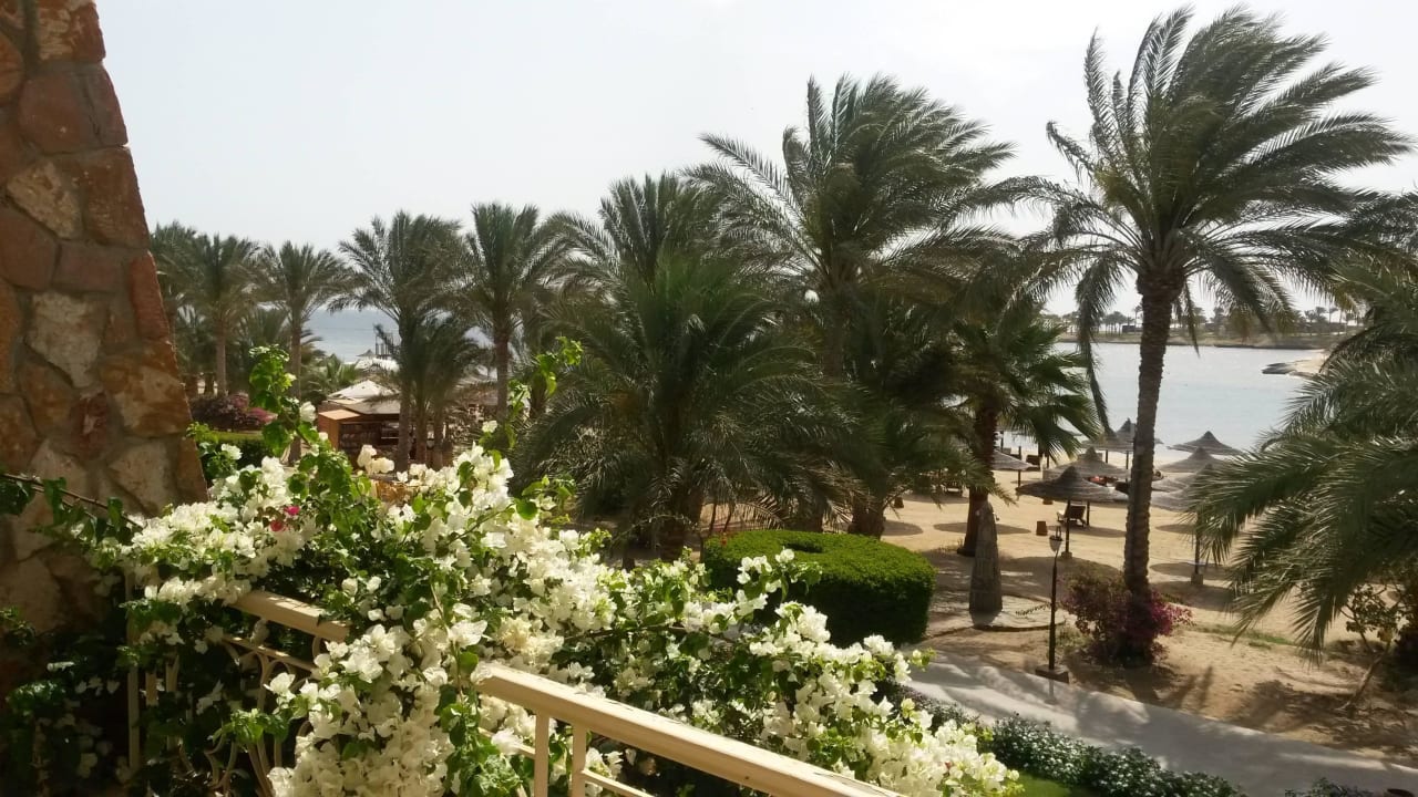 Ausblick von Zimmer 11'107 - vom Feinsten! Brayka Bay Resort