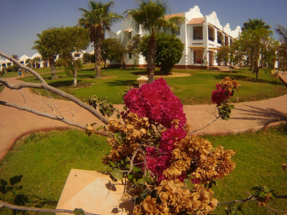 Gartenanlage Lahami Bay Beach Resort