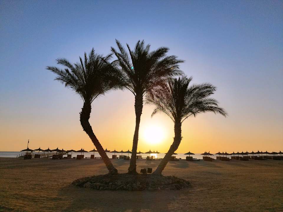 Strand Novotel Marsa Alam Beach Resort