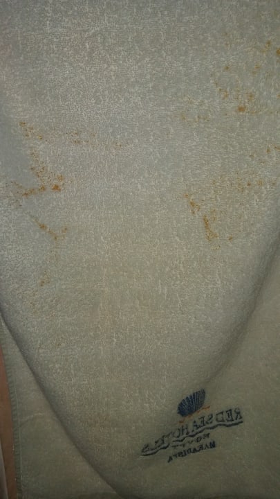 Zimmer Makadi Spa - Adults only