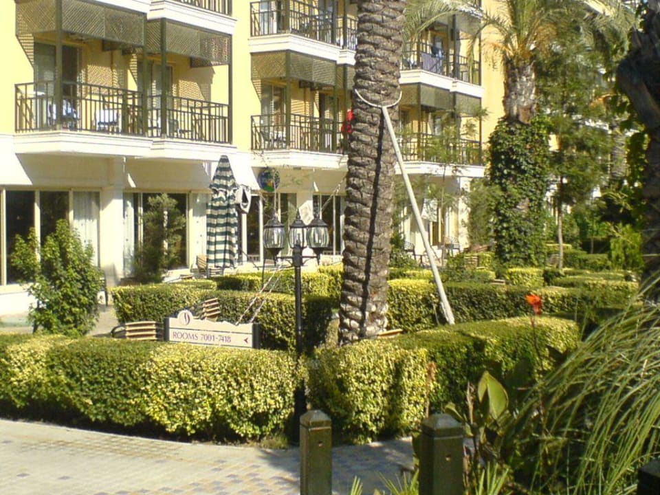 Garden Bar Crystal Paraiso Aqua Collection