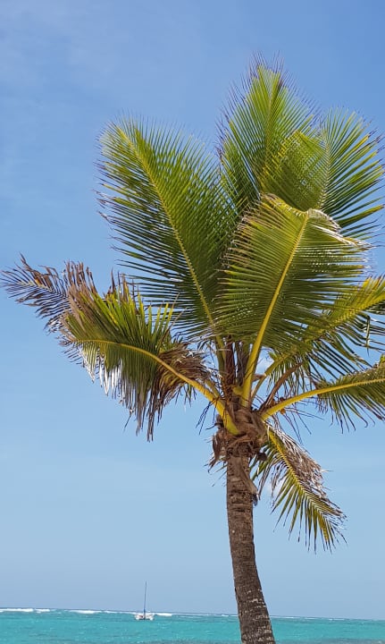 Strand Hotel Riu Palace Bavaro