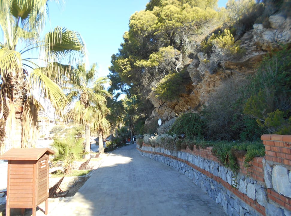 Gartenanlage Hotel Pine Bay Holiday Resort