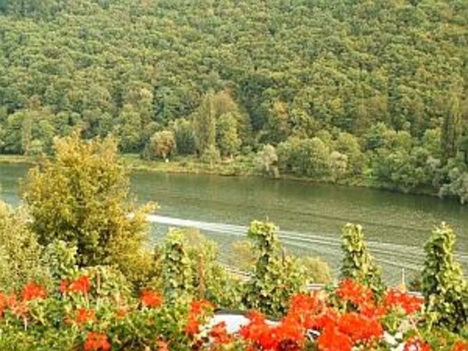 Aussicht von Terrasse Hotel Kapellenhof