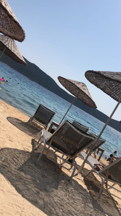 Strand TUI MAGIC LIFE Bodrum - Adult Only (16+)