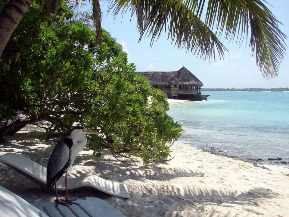 Serena Spa auf Summer Island Summer Island Maldives